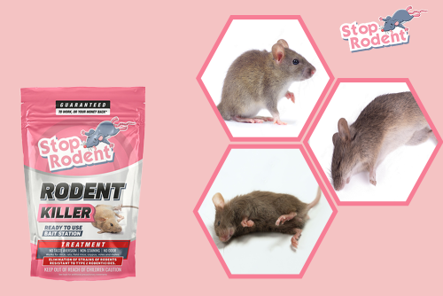 Is Stop Rodent legal in New Zealand?