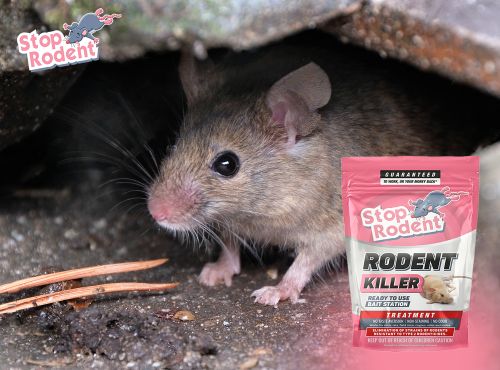 What rodent control options are available in New Zeland?